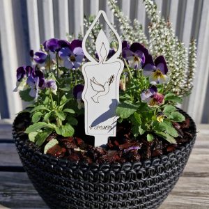 Bele lesena sveča na palčki - GOLOB